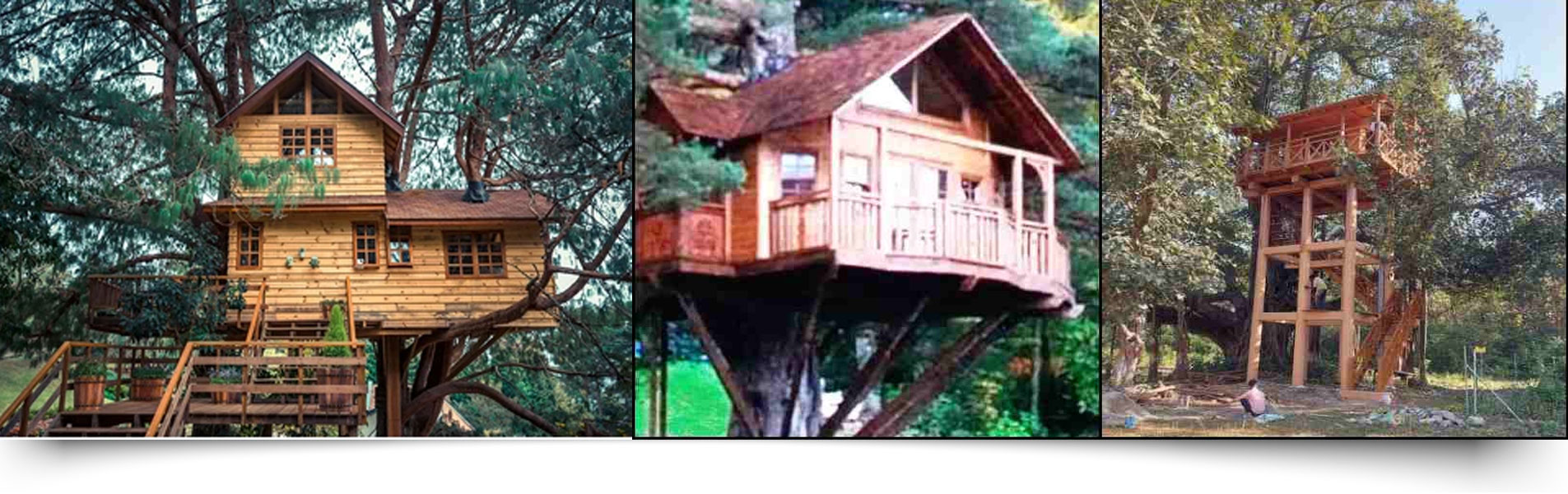Fato Tree House Jim Corbett